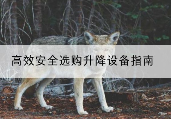 巫山升降货梯厂家推荐-*安全选购升降设备指南