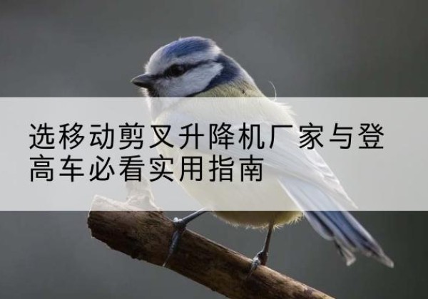 巫山电动升降机厂家-选移动剪叉升降机厂家与登高车必看实用指南