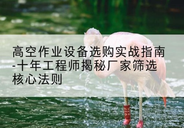 巫山剪叉式升降机厂家-高空作业设备选购实战指南-十年工程师揭秘厂家筛选核心法则